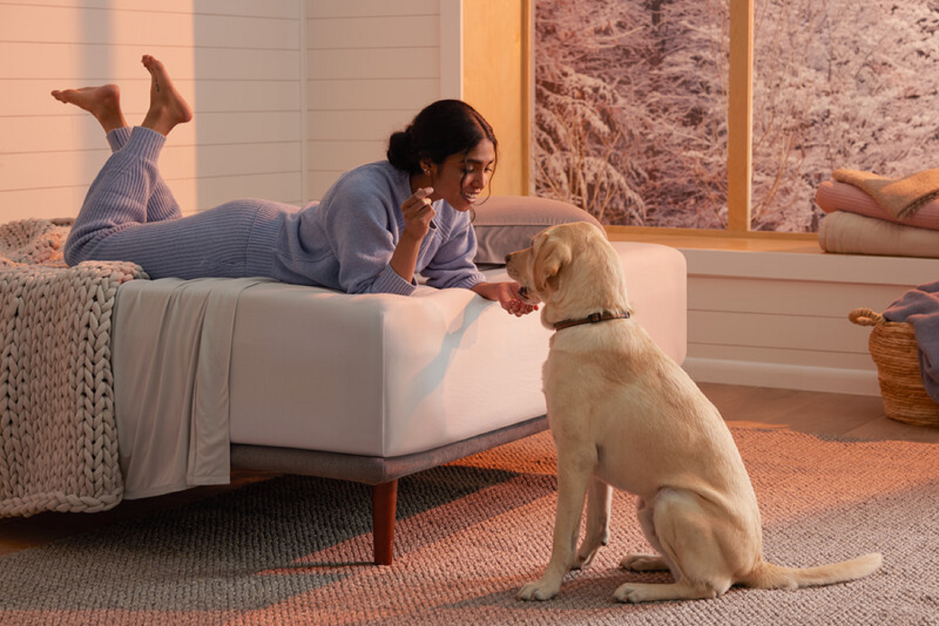 How to Choose the Right High-Quality Mattress