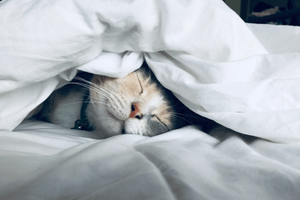 12 Tips for buying a new mattress