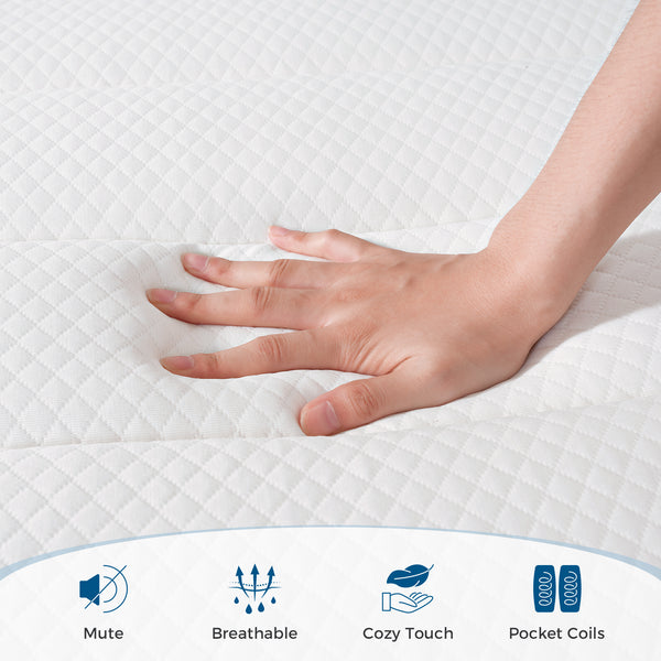 Inofia 12 Inch Hybrid Mattress with Aeroshield Memory Foam and NexusArc Pocket Sprung | The Elegant Plus Collection