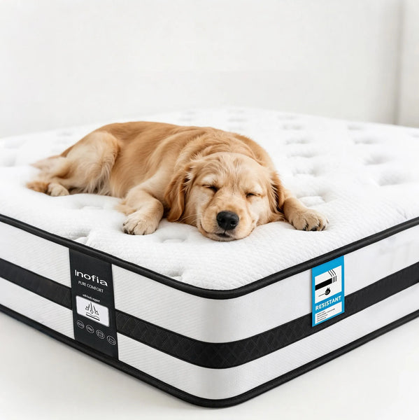Inofia 10 Inch Hybrid Mattress with Zone Support Memory Foam